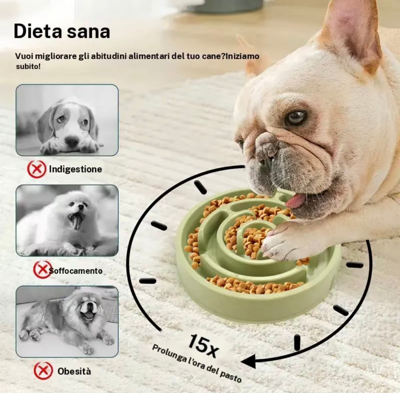 Ciotola anti ingozzamento - Malika